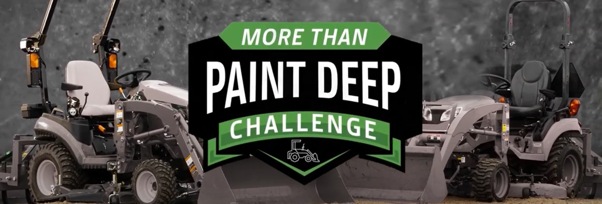 More Than Paint Deep – Web Banner